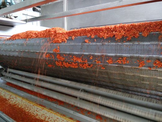 Dehydrated vegetable drying line