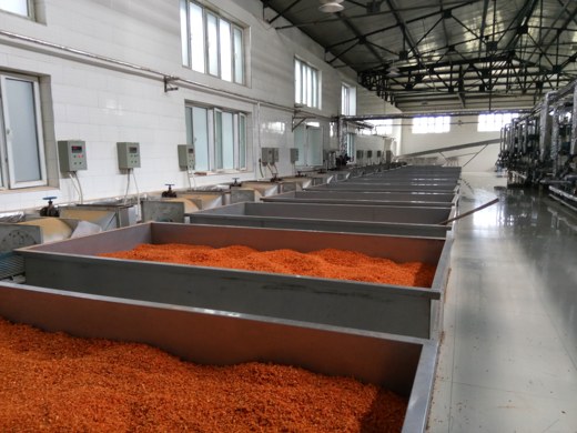 Dehydrated carrot material in production bins